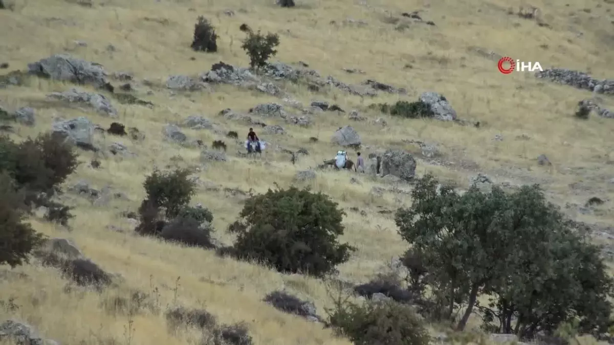 300 Metre Yükseklikteki Kayalardan Topladığı Balı Hastalara Veriyor